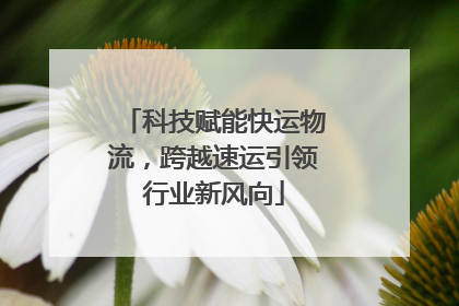 科技赋能快运物流，跨越速运引领行业新风向