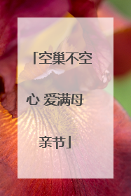 空巢不空心 爱满母亲节