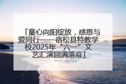 童心向阳绽放，感恩与爱同行——宿松县特教学校2025年“六一”文艺汇演圆满落幕