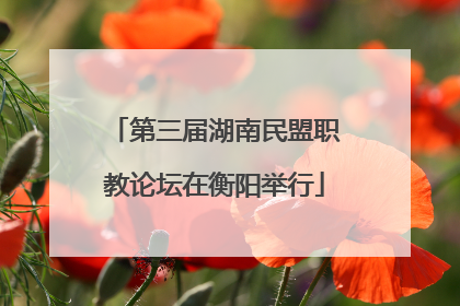 第三届湖南民盟职教论坛在衡阳举行