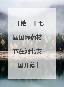 第二十七届国际药材节在河北安国开幕