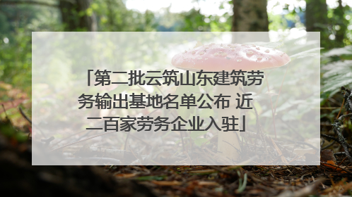 第二批云筑山东建筑劳务输出基地名单公布 近二百家劳务企业入驻
