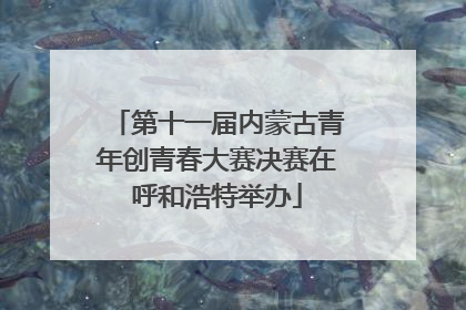 第十一届内蒙古青年创青春大赛决赛在呼和浩特举办