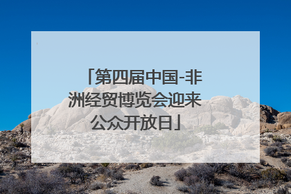 第四届中国-非洲经贸博览会迎来公众开放日