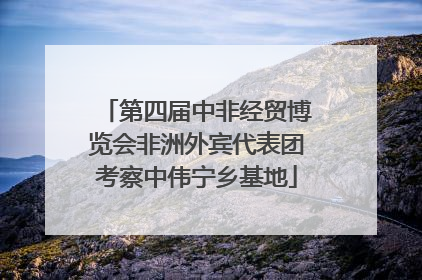 第四届中非经贸博览会非洲外宾代表团考察中伟宁乡基地