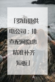 罗山县供电公司：排查配网隐患 精准补齐短板