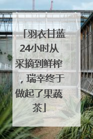 羽衣甘蓝24小时从采摘到鲜榨，瑞幸终于做起了果蔬茶