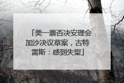 美一票否决安理会加沙决议草案，古特雷斯：感到失望