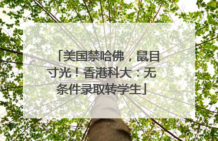 美国禁哈佛，鼠目寸光！香港科大：无条件录取转学生