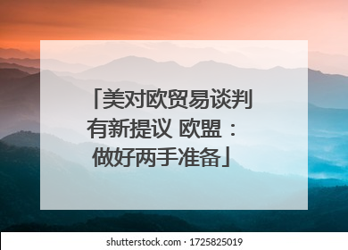 美对欧贸易谈判有新提议 欧盟：做好两手准备