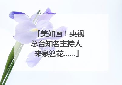 美如画！央视总台知名主持人来泉簪花……