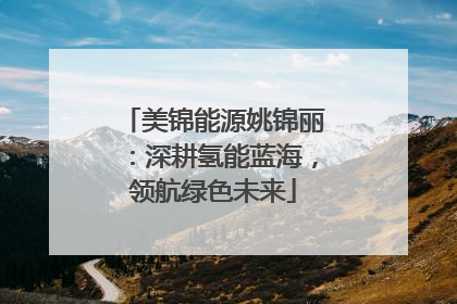美锦能源姚锦丽：深耕氢能蓝海，领航绿色未来
