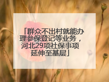 群众不出村就能办理参保登记等业务，河北29项社保事项延伸至基层