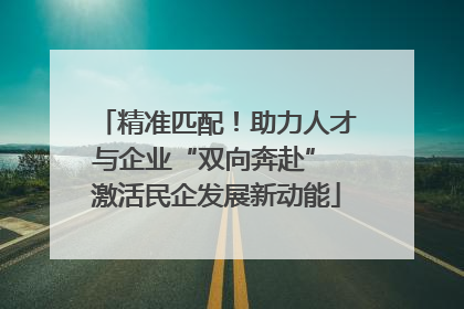 精准匹配！助力人才与企业“双向奔赴” 激活民企发展新动能