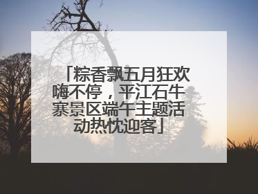 粽香飘五月狂欢嗨不停，平江石牛寨景区端午主题活动热忱迎客