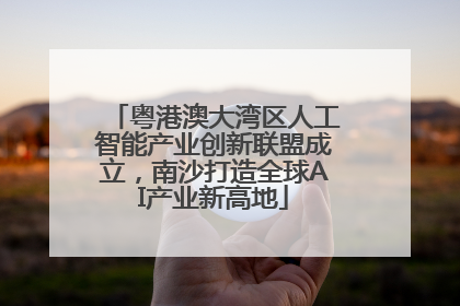 粤港澳大湾区人工智能产业创新联盟成立，南沙打造全球AI产业新高地