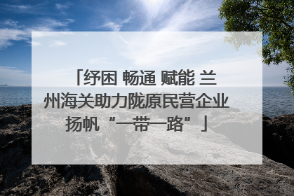 纾困 畅通 赋能 兰州海关助力陇原民营企业扬帆“一带一路”