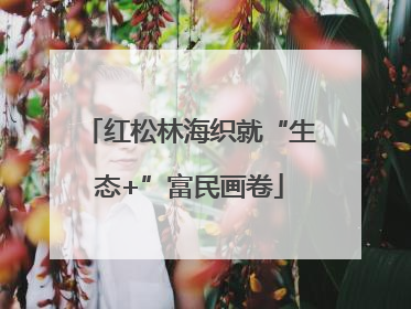 红松林海织就“生态+”富民画卷