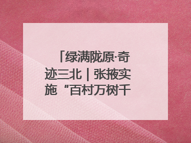 绿满陇原·奇迹三北｜张掖实施“百村万树千里林”工程
