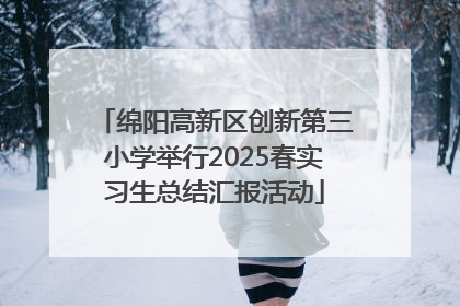 绵阳高新区创新第三小学举行2025春实习生总结汇报活动