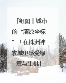 组图丨城市的“清凉坐标”！在株洲神农城里感受绿意与生机
