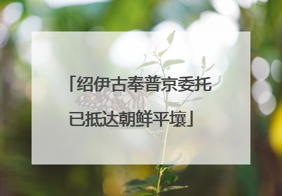 绍伊古奉普京委托已抵达朝鲜平壤