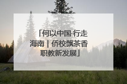 何以中国·行走海南｜侨校飘茶香 职教新发展