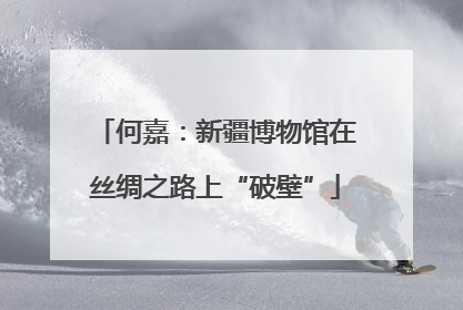 何嘉：新疆博物馆在丝绸之路上“破壁”