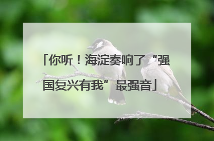 你听！海淀奏响了“强国复兴有我”最强音