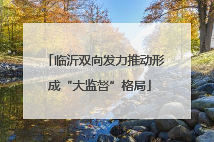 临沂双向发力推动形成“大监督”格局