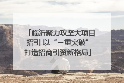 临沂聚力攻坚大项目招引 以“三重突破”打造招商引资新格局