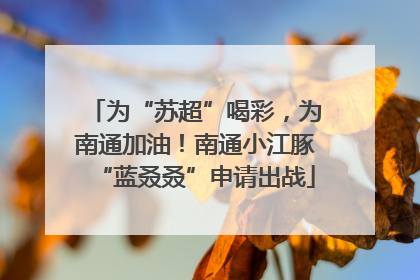 为“苏超”喝彩，为南通加油！南通小江豚“蓝叒叒”申请出战