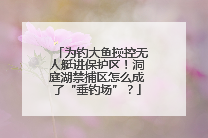 为钓大鱼操控无人艇进保护区！洞庭湖禁捕区怎么成了“垂钓场”？