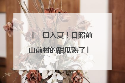 一口入夏！日照前山前村的甜瓜熟了