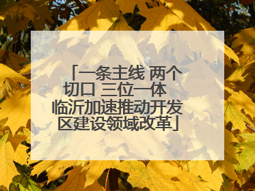 一条主线 两个切口 三位一体 临沂加速推动开发区建设领域改革