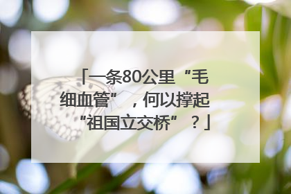一条80公里“毛细血管”，何以撑起“祖国立交桥”？