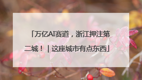 万亿AI赛道，浙江押注第二城！｜这座城市有点东西