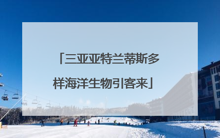 三亚亚特兰蒂斯多样海洋生物引客来