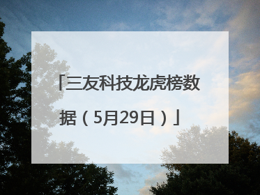 三友科技龙虎榜数据（5月29日）
