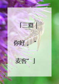 三夏｜你好，“麦客”