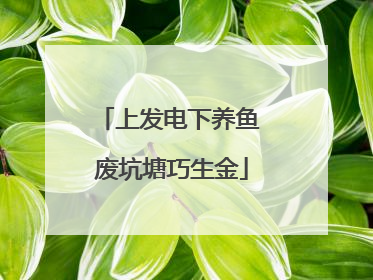 上发电下养鱼 废坑塘巧生金
