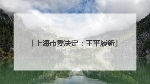 上海市委决定：王平履新