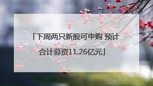 下周两只新股可申购 预计合计募资11.26亿元