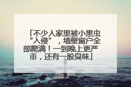 不少人家里被小黑虫“入侵”，墙壁窗户全部爬满！一到晚上更严重，还有一股臭味