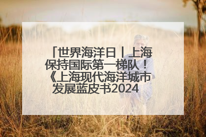 世界海洋日丨上海保持国际第一梯队！《上海现代海洋城市发展蓝皮书2024评估报告》发布