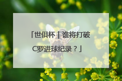 世俱杯｜谁将打破C罗进球纪录？