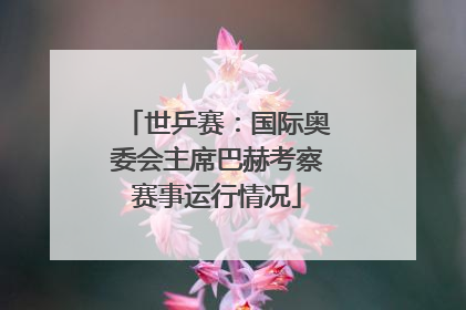 世乒赛：国际奥委会主席巴赫考察赛事运行情况