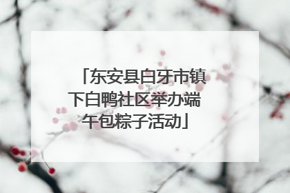 东安县白牙市镇下白鸭社区举办端午包粽子活动