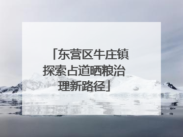 东营区牛庄镇探索占道晒粮治理新路径