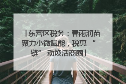 东营区税务：春雨润苗聚力小微赋能，税惠 “链” 动焕活商圈
